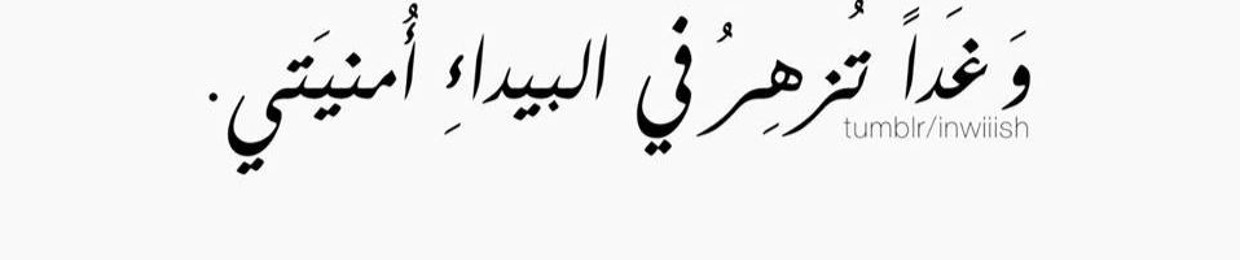 Ahmed Ragab 233
