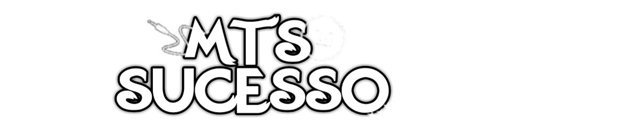 MTS SUCESSO - PERFIL 2 ϟ