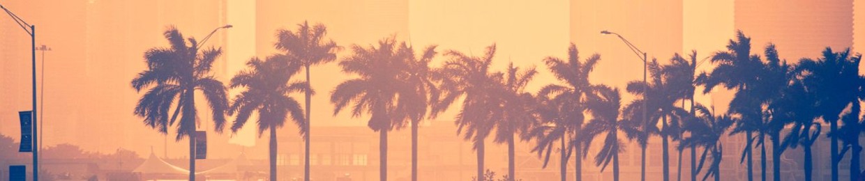 Future Vision