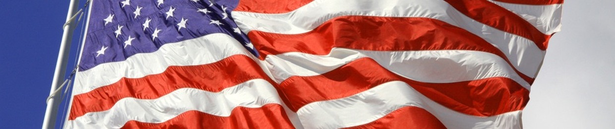 MsGamingVeep