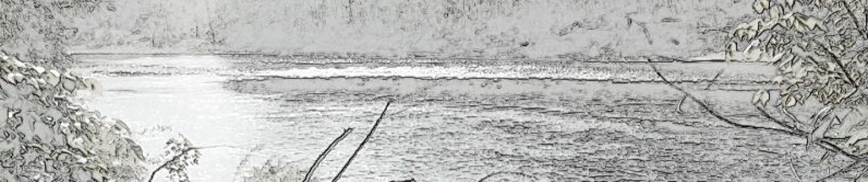 The Open Mind Experiment