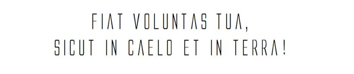 brunosales32