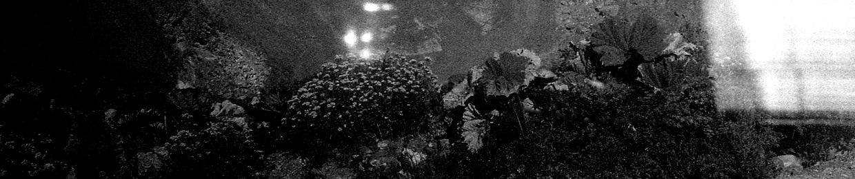 Mȁ̲ͥ̾ra͔̥̩̾͊̑cuyá͊