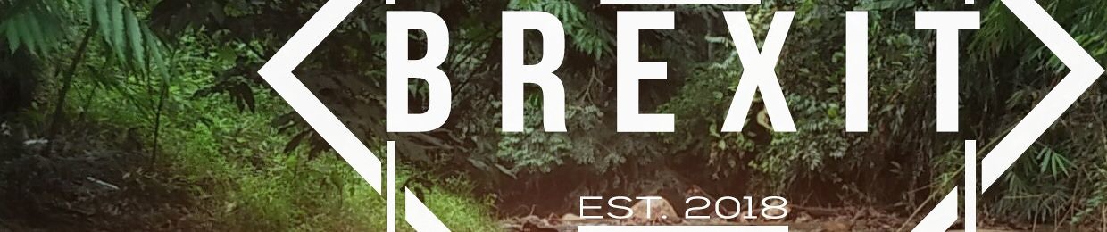 BreXit