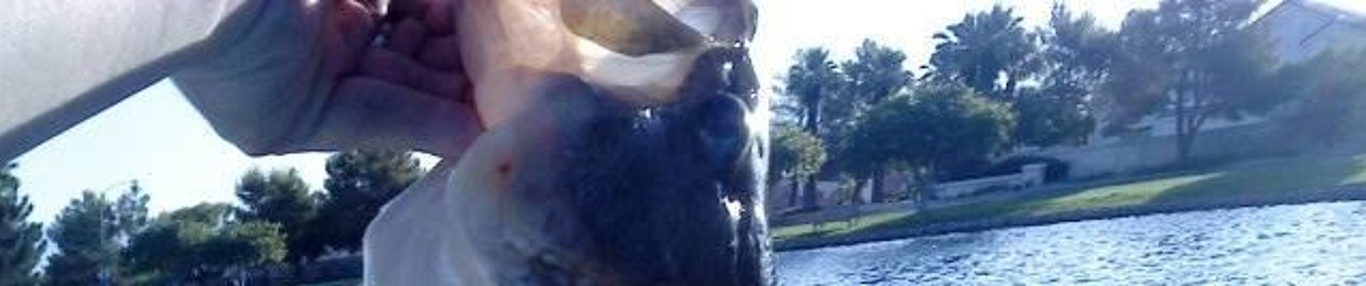 Dustin Lopez 7