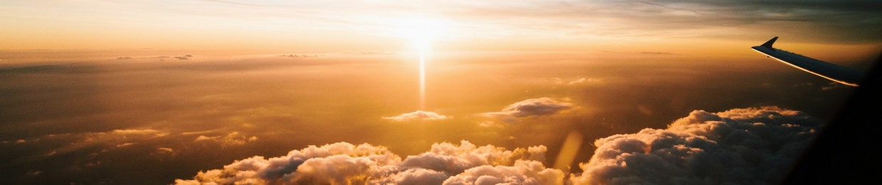 Flight Effect