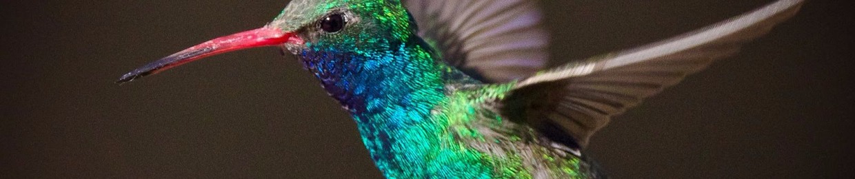 B!tt3rW@t3r Strong & $@LtY B0rN❤️