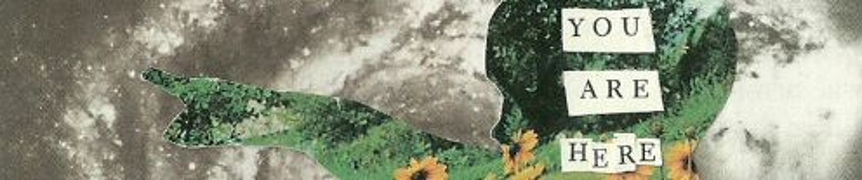zep-like