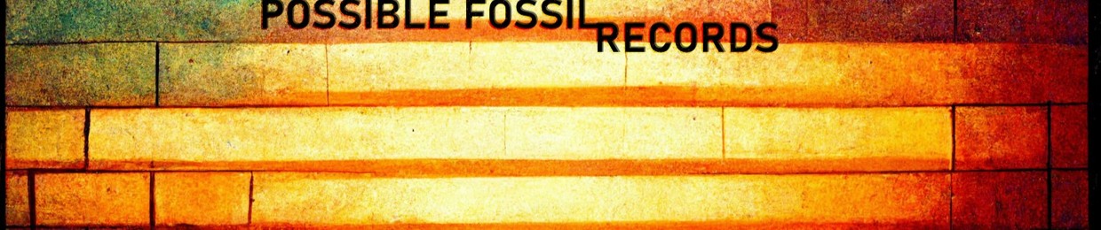Possible Fossil Records
