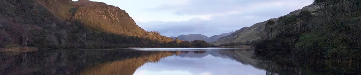 Bernie O'Reilly Cahill