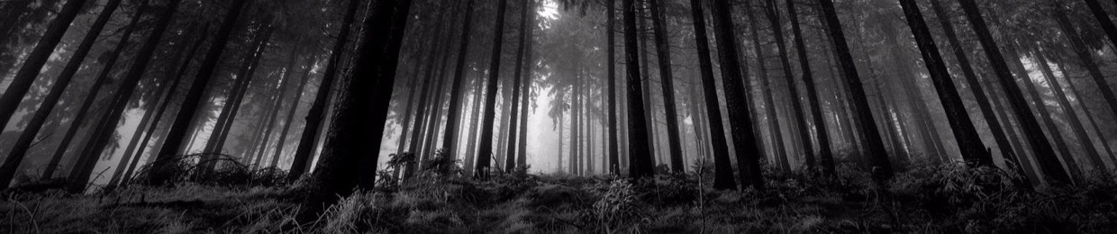 L.Davies