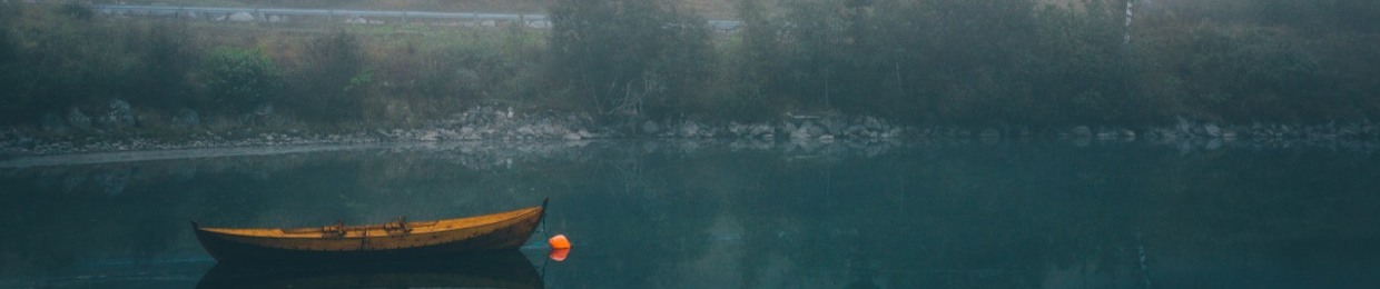 Farzad James