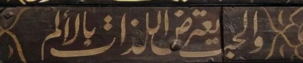 محمد مصطفى