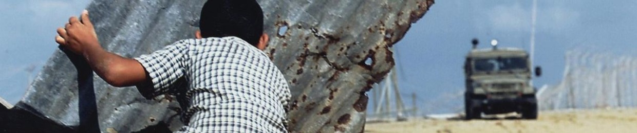 Mahmoud Walid 2