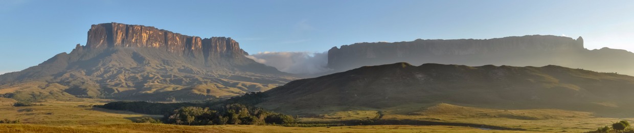 Rafael A. Quintana L.