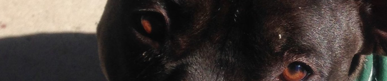 Mac˙˘ˀ˘.˜˚G.˘˘.M.¸ˍ˝˚.