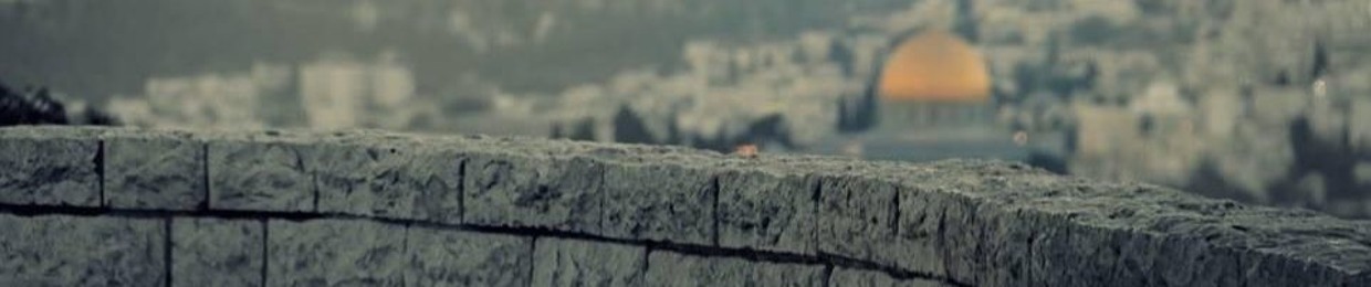 Ahmed Alaa