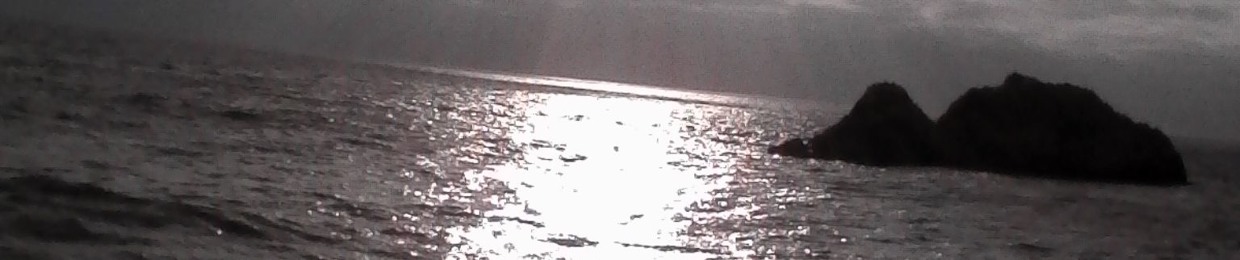 bronze sun