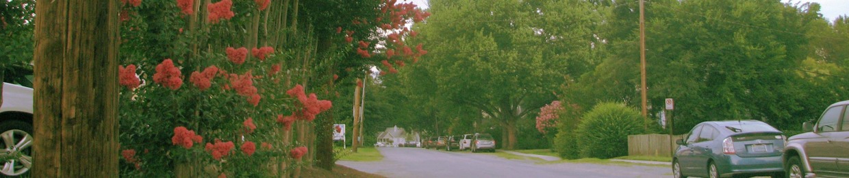 farris wheel in november