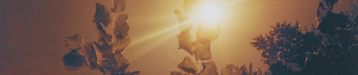 Le Temps d'une Chanson