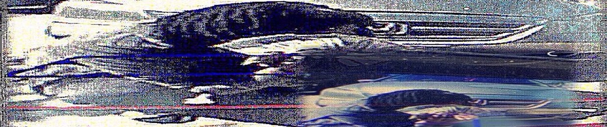 👁️‍🗨️†🆆🆁🅰🅽🆃🅸🅲🆂♱