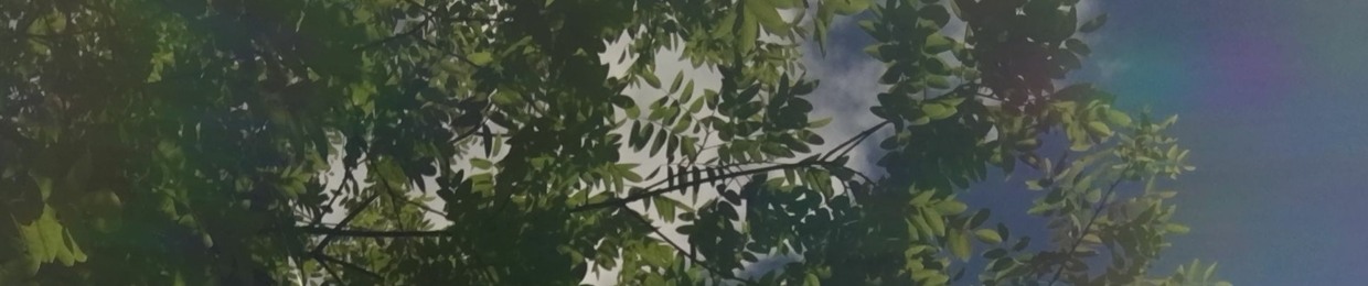 Sage Palm
