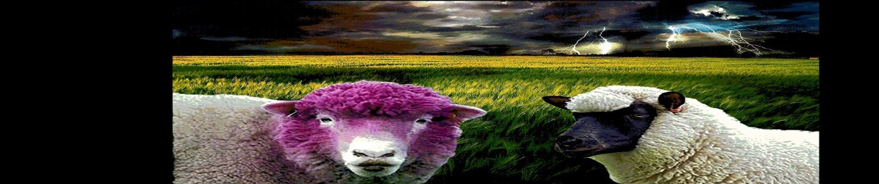 HypnoSheep