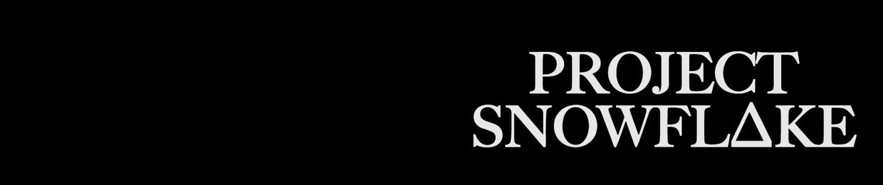 PROJECT SNOWFL∆KE