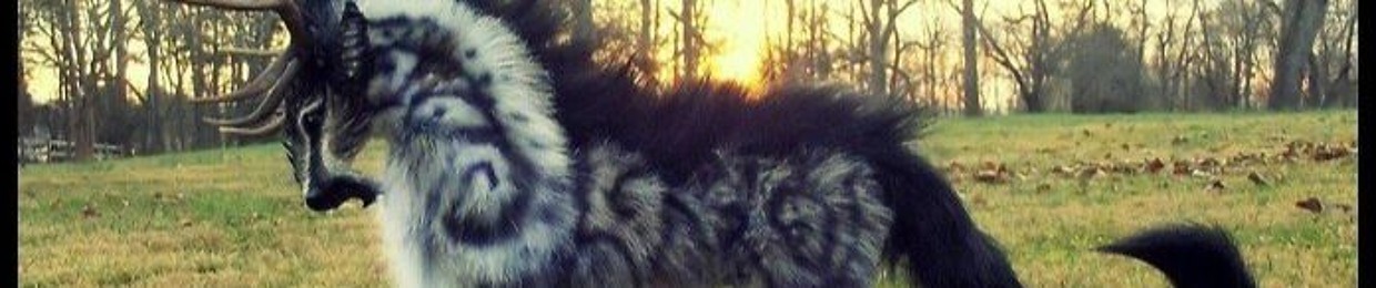 KillerWolf DJ