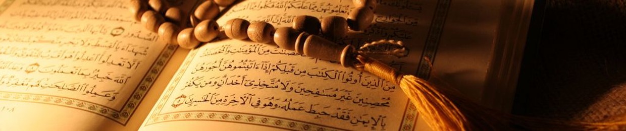 Quran&Sunnah