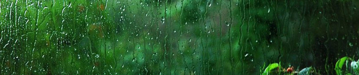 Muhammad Zeeshan Mazhar 2