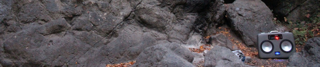 Metoki