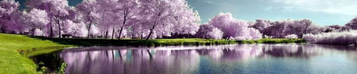 Sameer Saeed 7