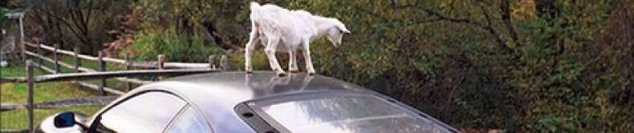FLameTheGoat