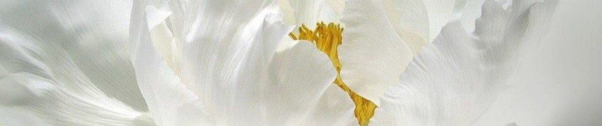 Martulka