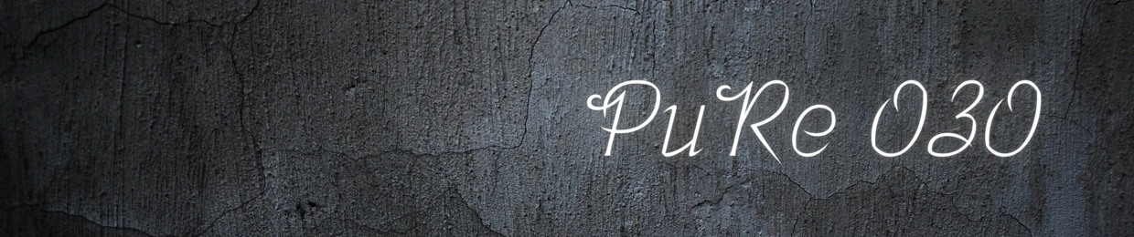 PuRe 030