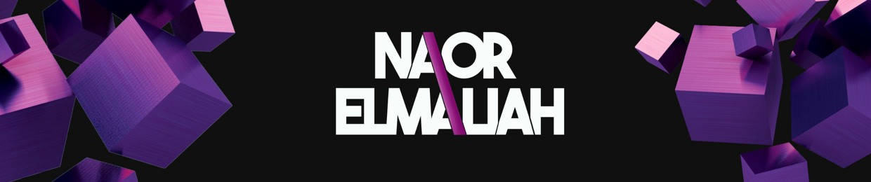 Naor Elmaliah