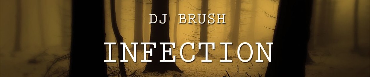 DJ BRUSH