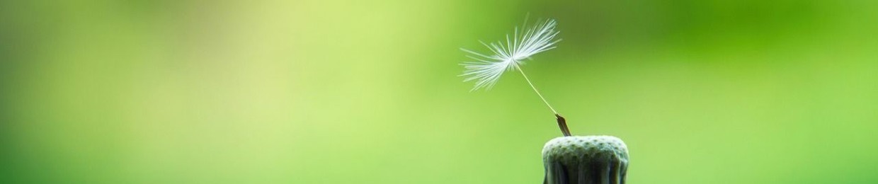 Hannelinde guidede meditationer