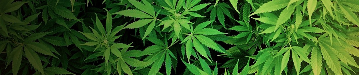 akaWeed