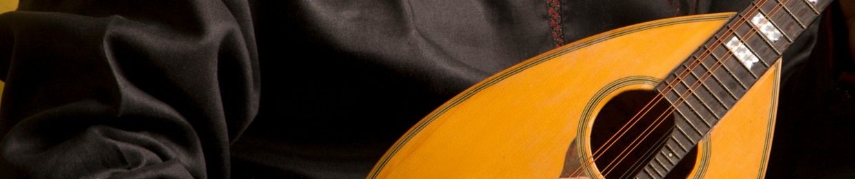 PRADIPTO SENGUPTA......Mandolinist