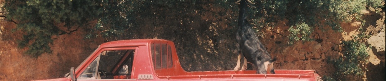 Alexandros Mpougas