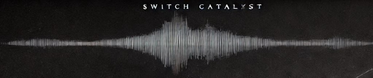 Switch Catalyst