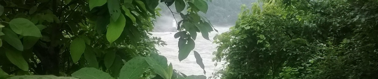 Krupa Shankar 1