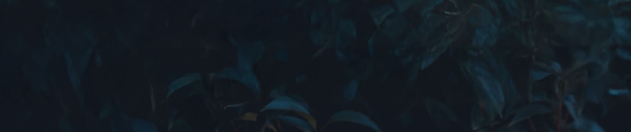 RAVL