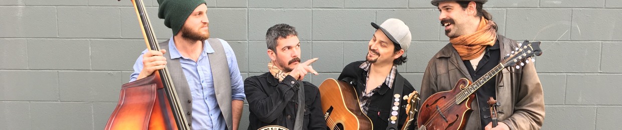 Scratchdog Stringband