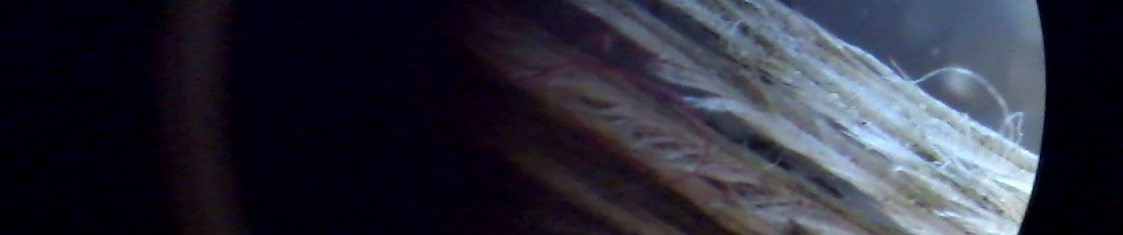 CohenAsher AlienArchitect