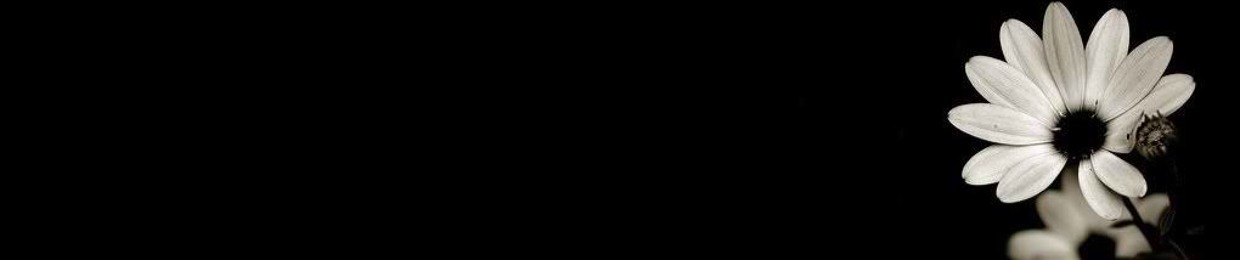 Michelle Acera Records