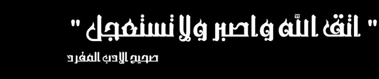 OmarTohamy