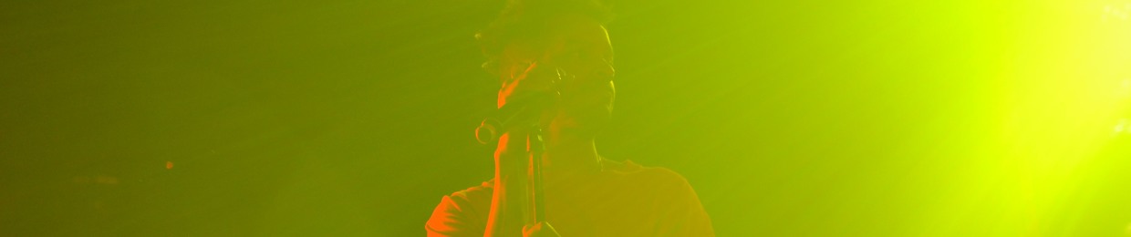 Tyler  Tran